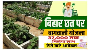 Bihar Chhat Par Bagwani Yojana 2024