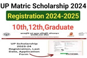 UP Matric Scholarship 2024