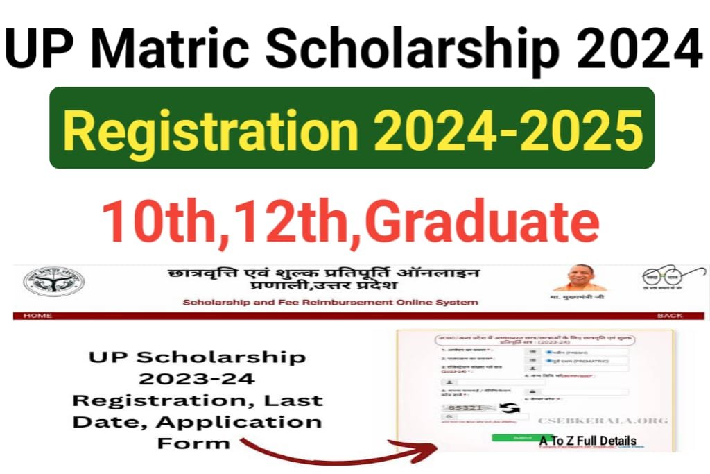 UP Matric Scholarship 2024