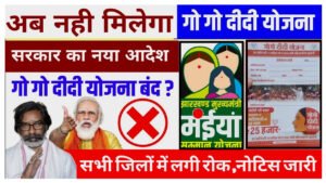 Gogo Didi Yojana Close Update