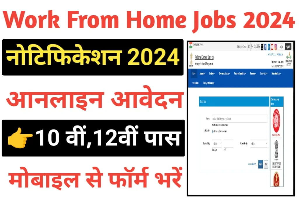 Work From Home Job 2024