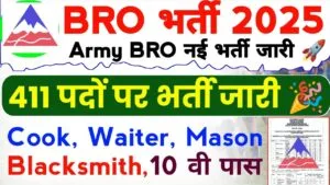 BRO MSW Recruitment 2025