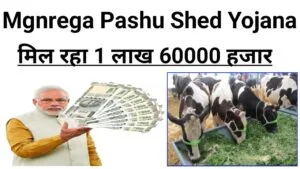Mgnrega Pashu Shed Yojana 2025