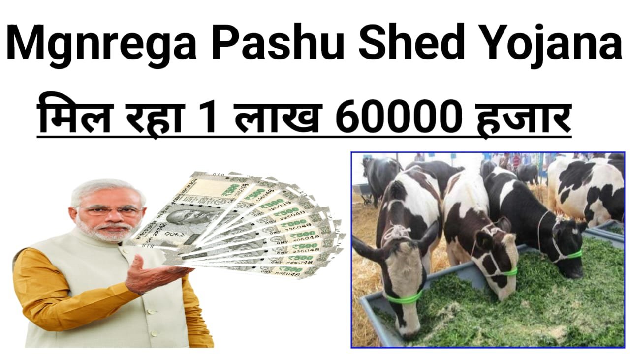 Mgnrega Pashu Shed Yojana 2025