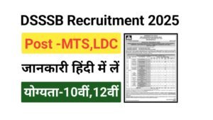 DSSSB Group C Vacancy 2025