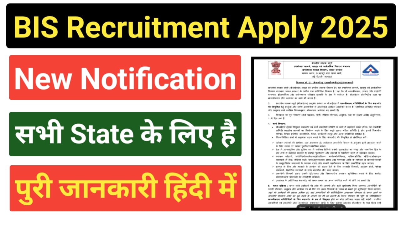BIS Consultant Recruitment 2025