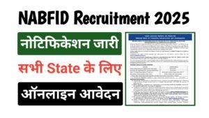 NaBFID Recruitment 2025