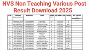 NVS Non Teaching Result 2025
