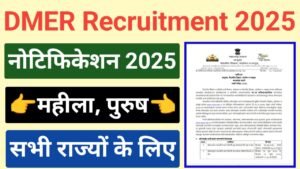 DMER Group C Recruitment 2025